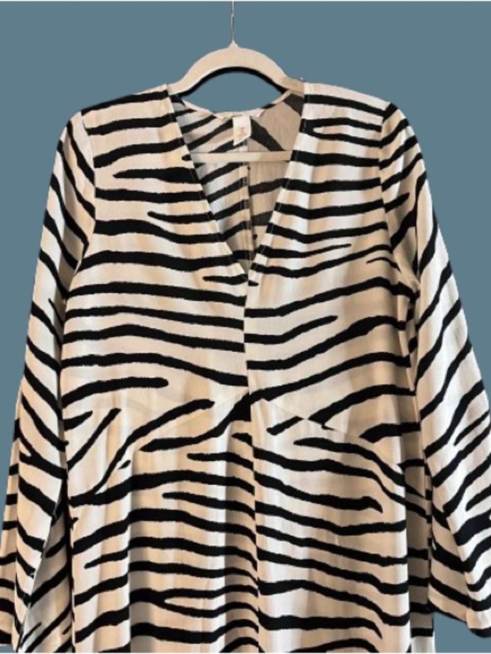 H&M Black & Cream Zebra-Print V-Neck Maxi Dress - Picture 4 of 8